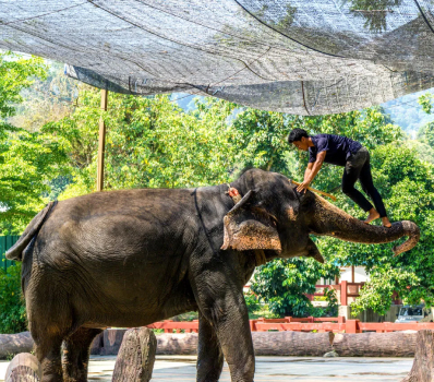 Elephant Sanctuary National